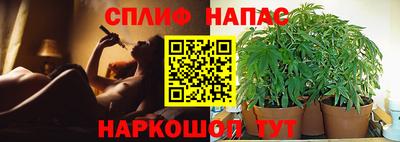 каннабис Малоярославец