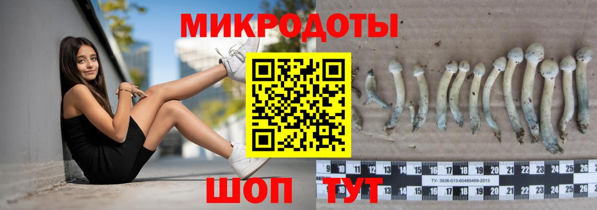 сколько стоит  Псилоцибиновые грибы Psilocybine cubensis  Воткинск  Вход с VPN  Псилоцибиновые грибы мицелий 