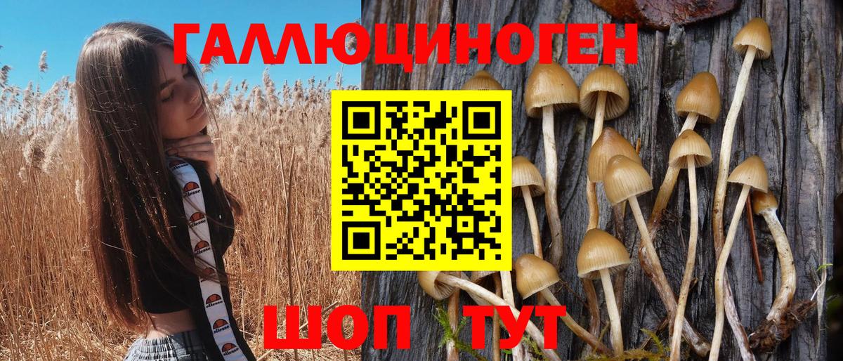 Псилоцибиновые грибы Cubensis  Псилоцибиновые грибы GOLDEN TEACHER  Воткинск 