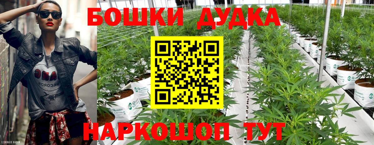 Канабис VHQ  Воткинск  Каннабис планчик 